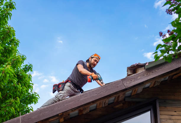 Best Skylight Installation and Repair  in Fate, TX